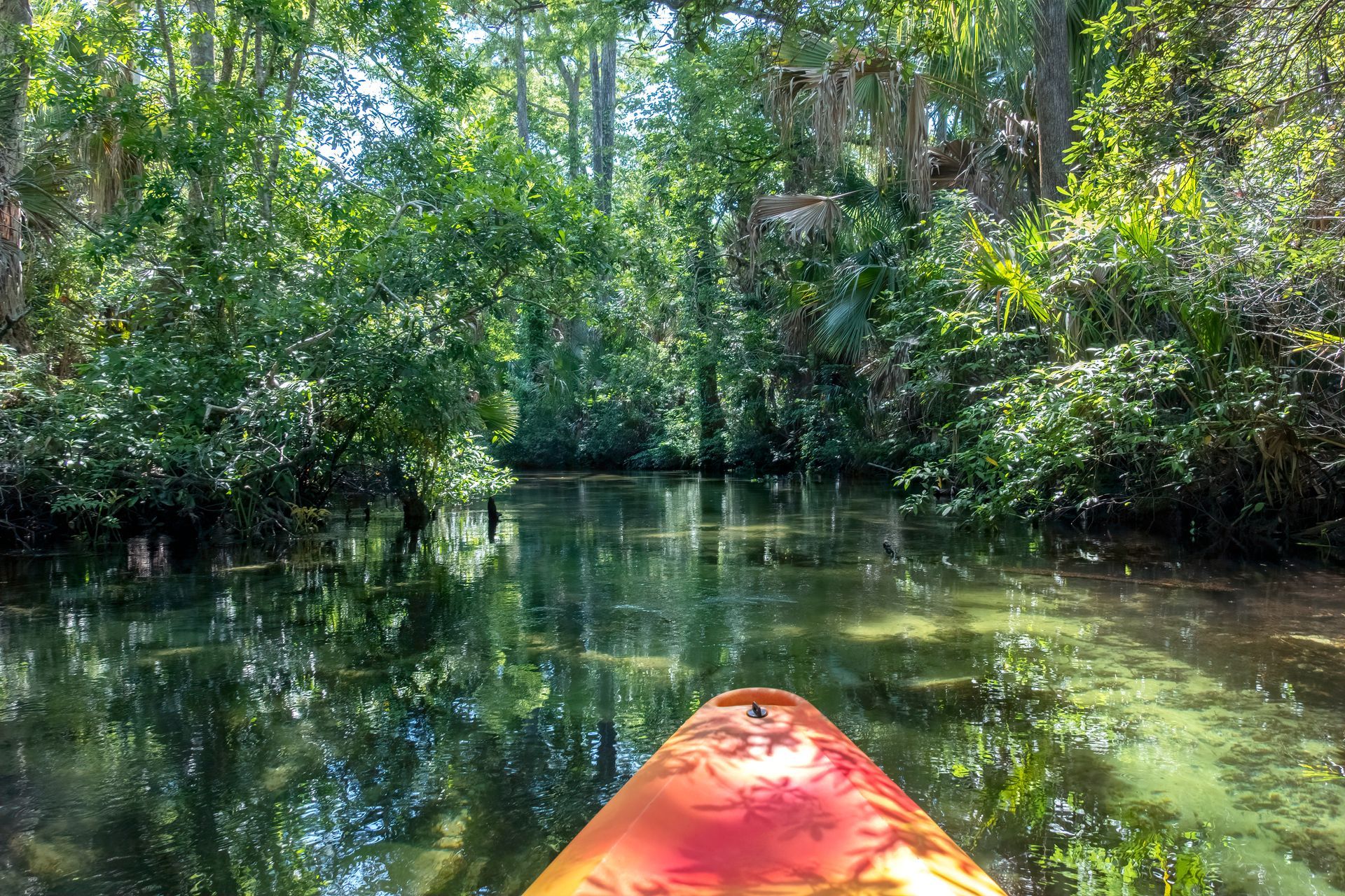 Kayak on a calm river surrounded by lush green trees and foliage.
