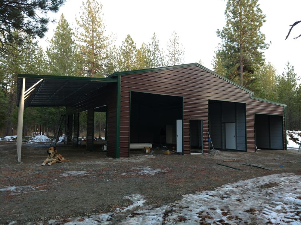 A dog is laying under a canopy in front of a building.