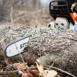 A person is cutting a tree with a chainsaw.