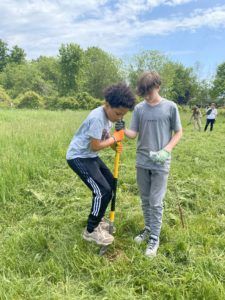 Two students dig a hole with a shovel to plant trees