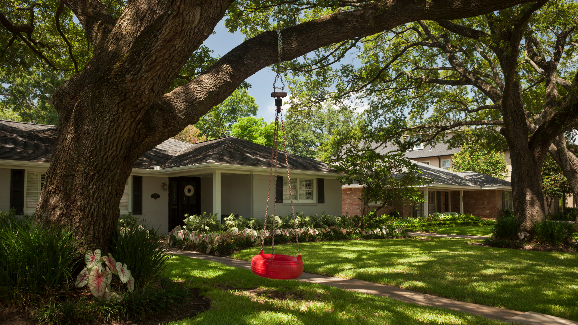 Red swing hangs from large oak tree in front of a gray house with a green lawn.