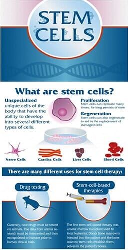 Stem Cell Brochure1 - Orthopedic Care in Albuquerque, NM