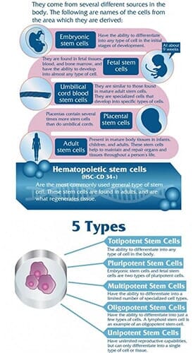 Stem Cell Brochure2 - Orthopedic Care in Albuquerque, NM