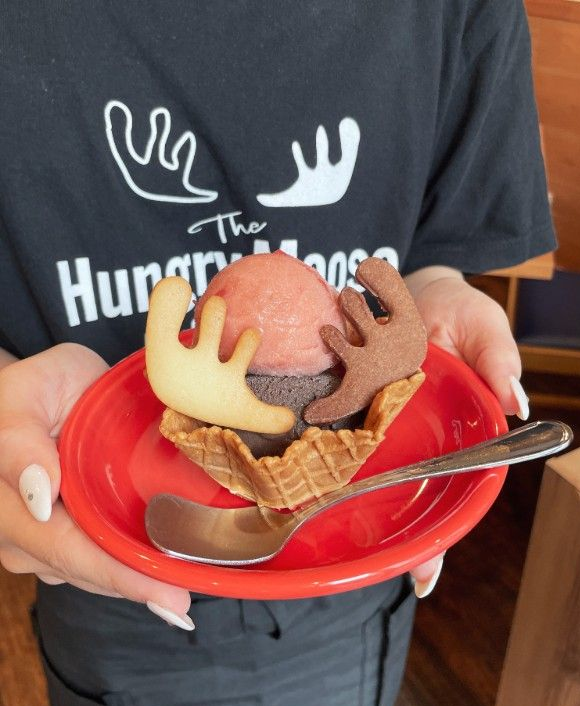 ジェラート&アイスクリーム