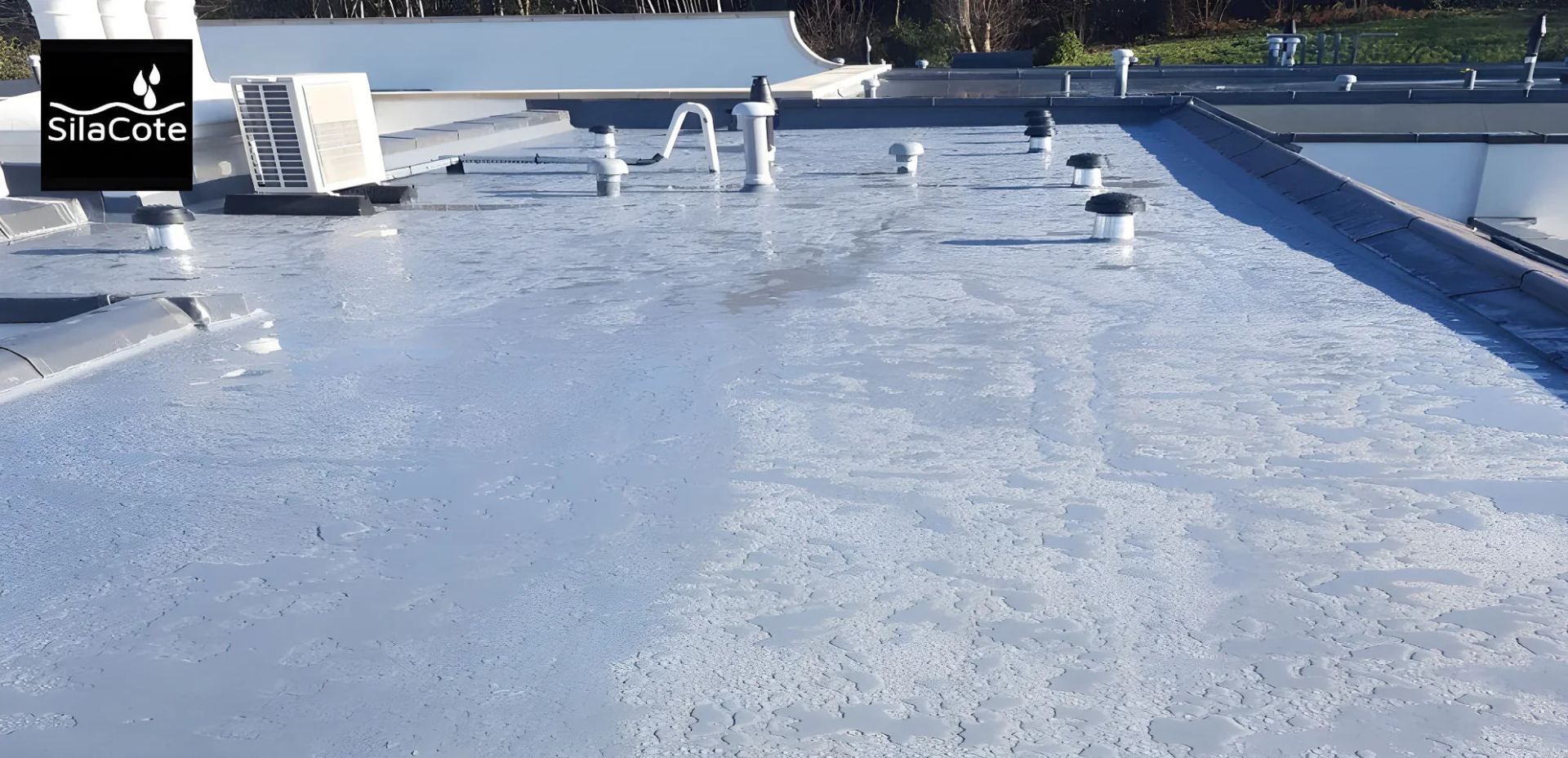 Trench dug in a grassy yard, leading to a house with black siding, and an electrical box.