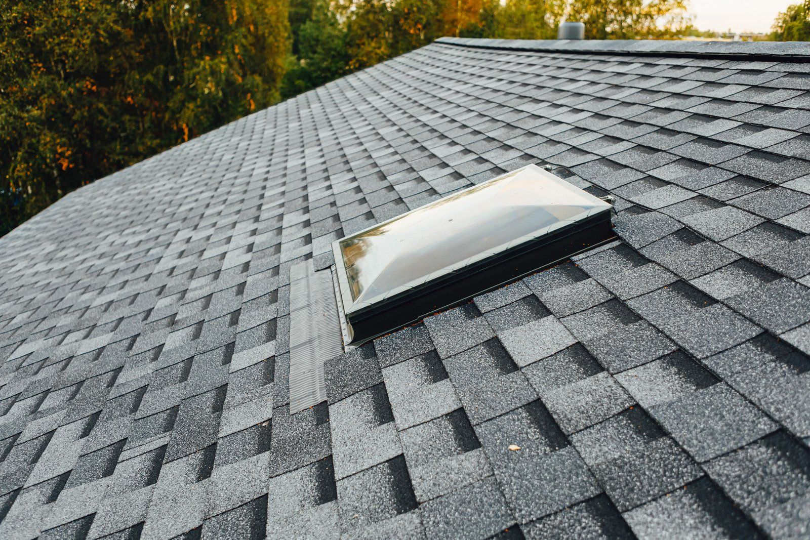 Asphalt shingle roof with a skylight, trees in the background.
