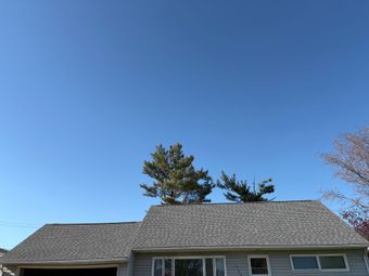 Asphalt shingle roof with a skylight, trees in the background.