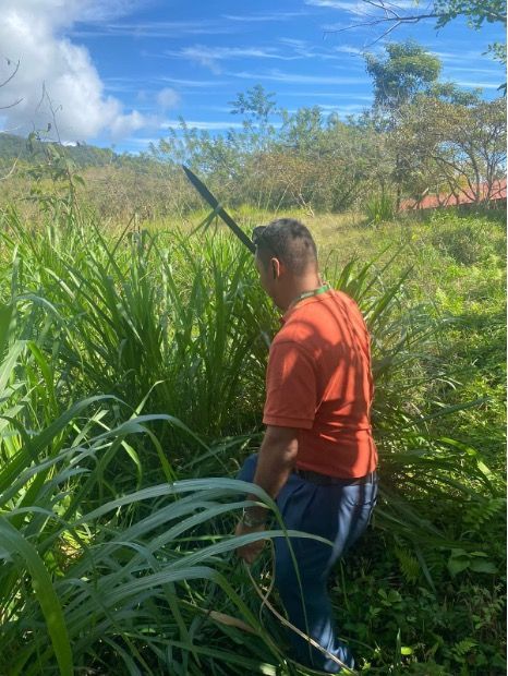 Man walking through a field