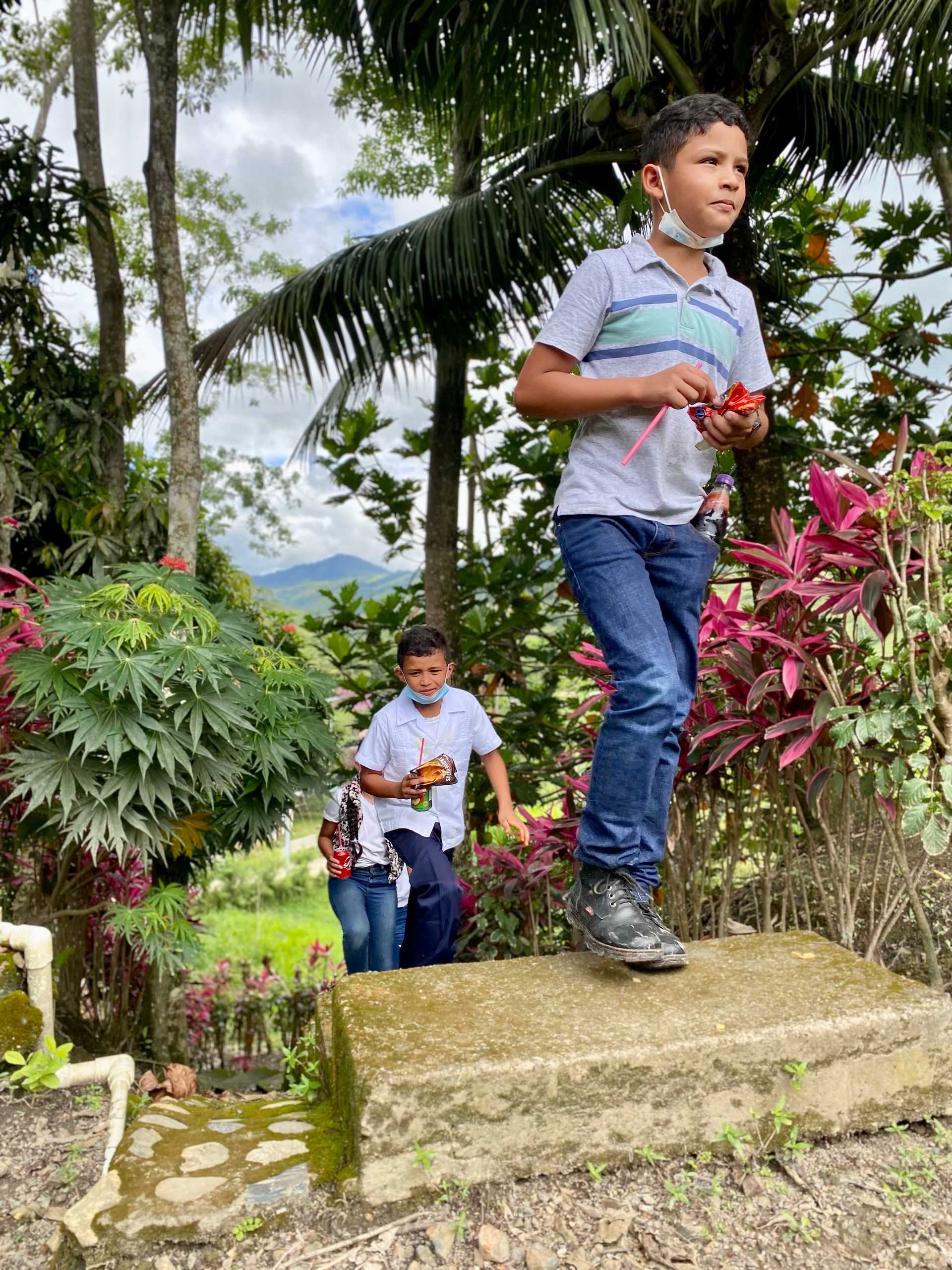 A young boy is standing on top of a rock in a garden.