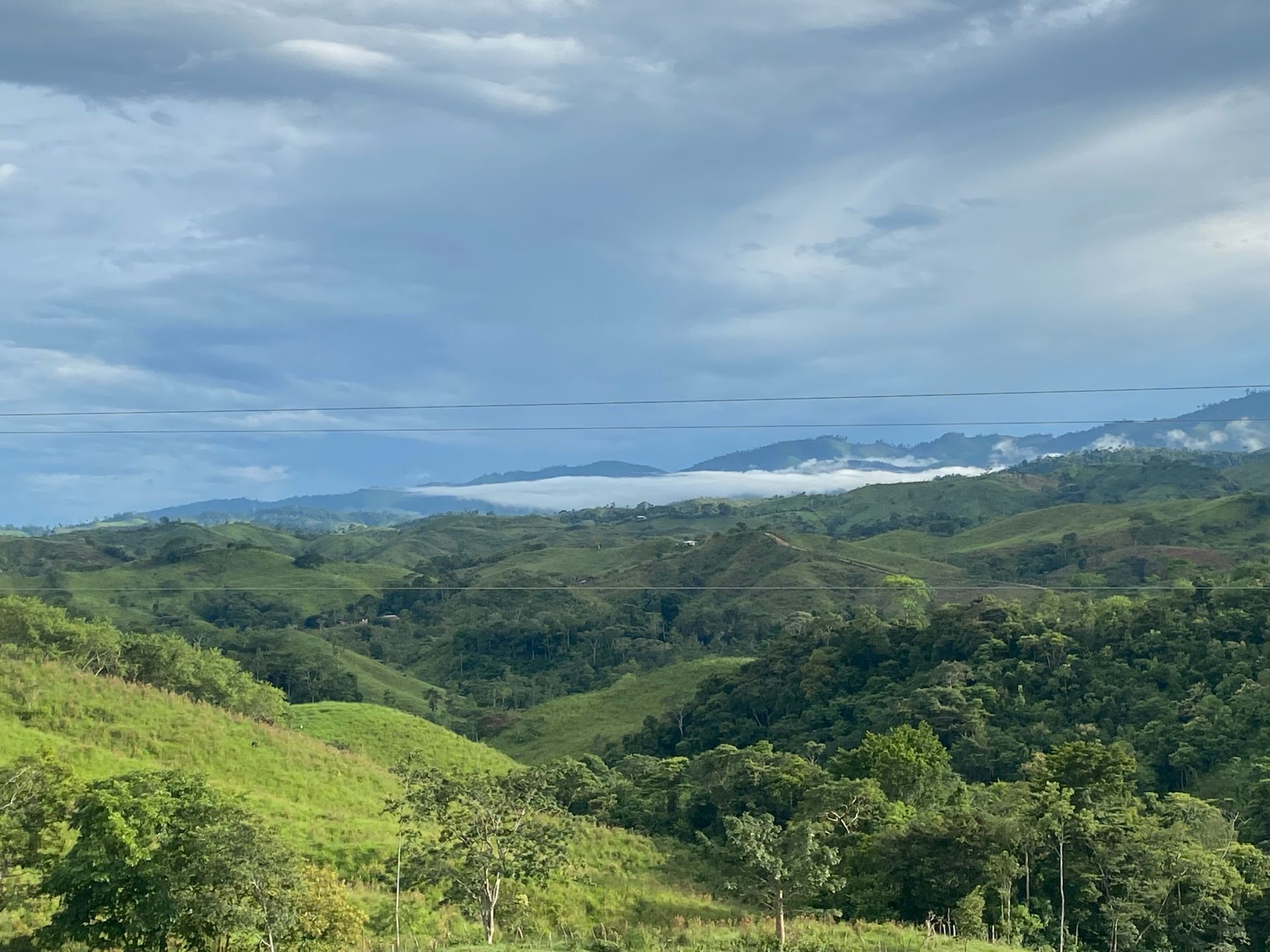 A view of a lush green valley with mountains in the background