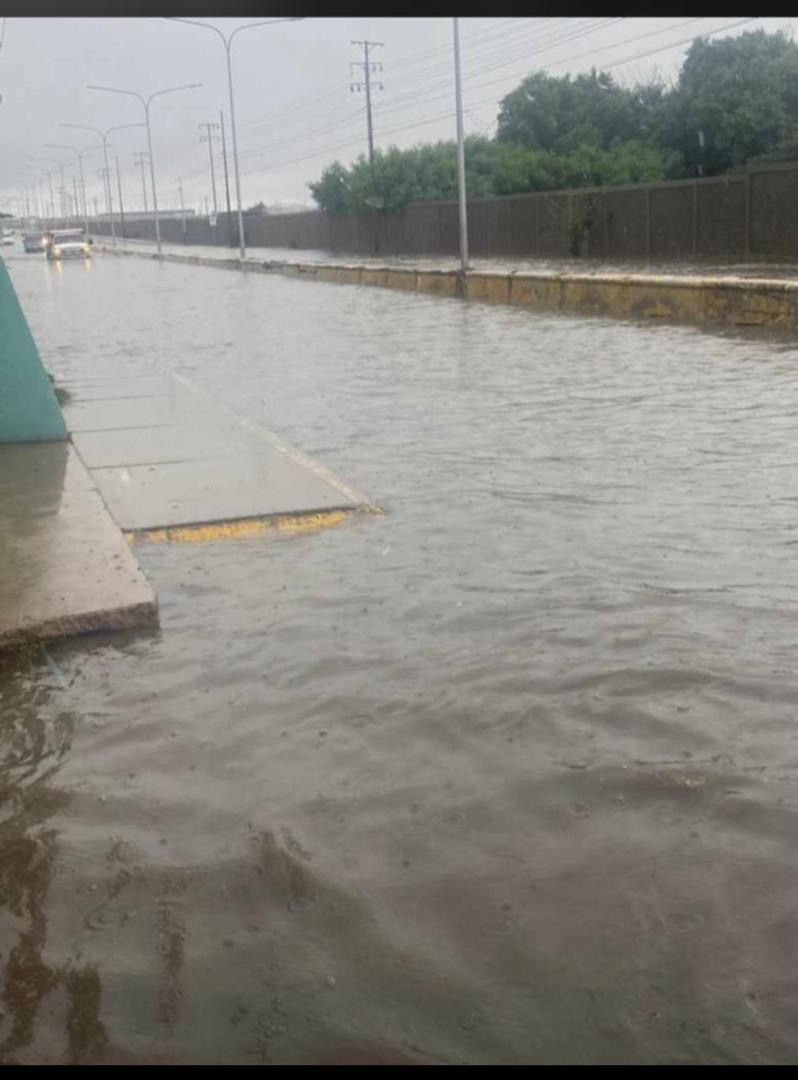 A flooded street with cars driving down it and trees in the background.