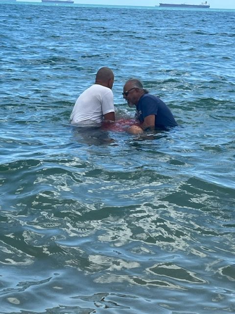 Two men are standing in the ocean talking to each other