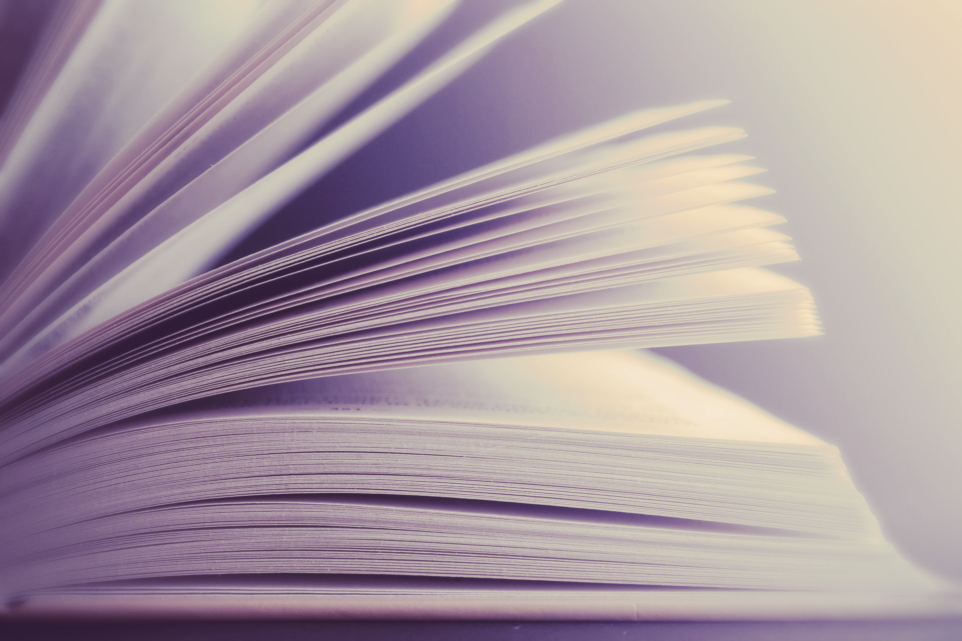 A close up of an open book with purple pages