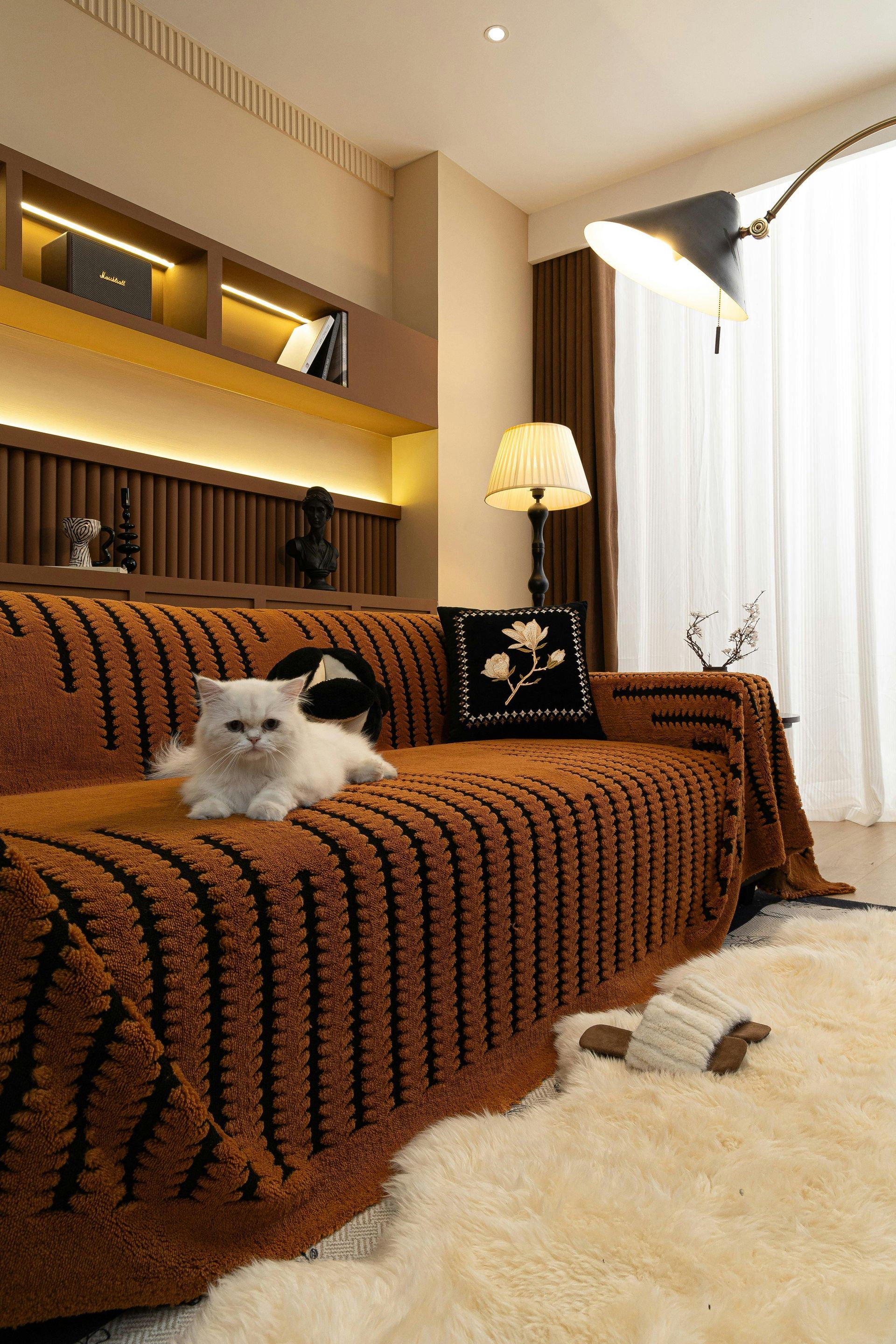White cat on a brown patterned sofa in a warmly lit living room, near a window and bookshelf.