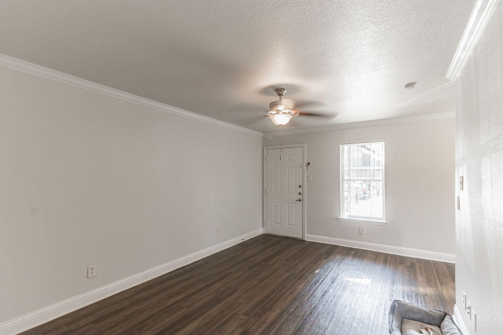 Photo of a living room, with the front door in the background
