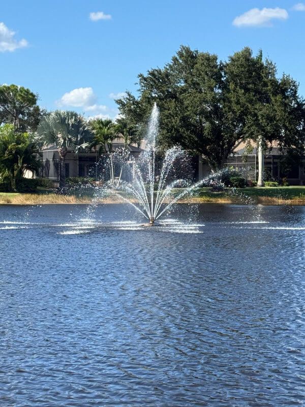 Fountain spraying in a pond with trees and buildings under a bright blue sky