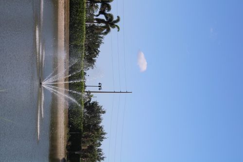 Fountain spraying in a pond under a clear blue sky, with trees and utility poles along the shore