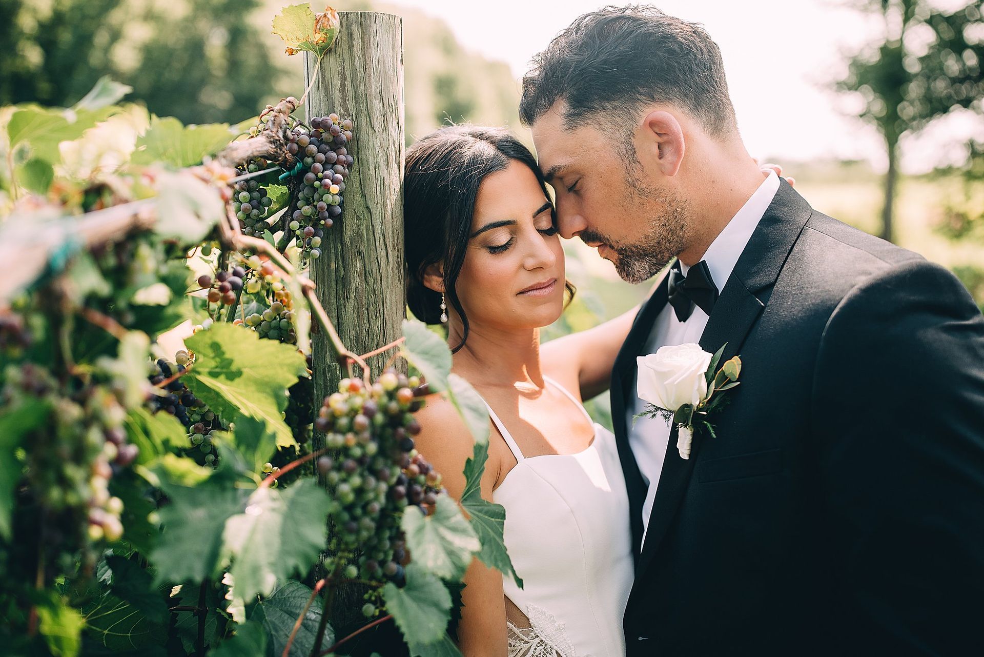 Bride and groom embrace by a vineyard. The woman in a white dress leans against a post. The man in a tuxedo looks down.