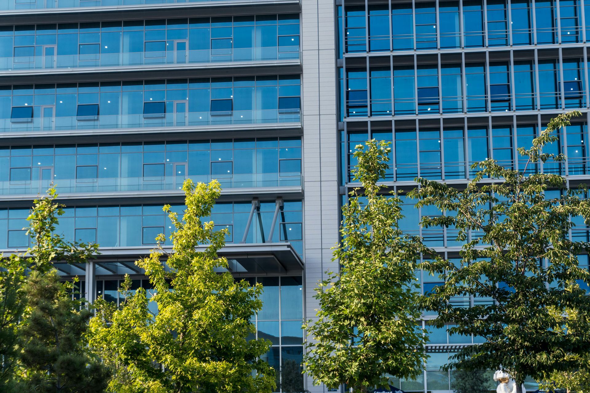 Modern office building with blue glass windows, framed by trees and a sunny sky.