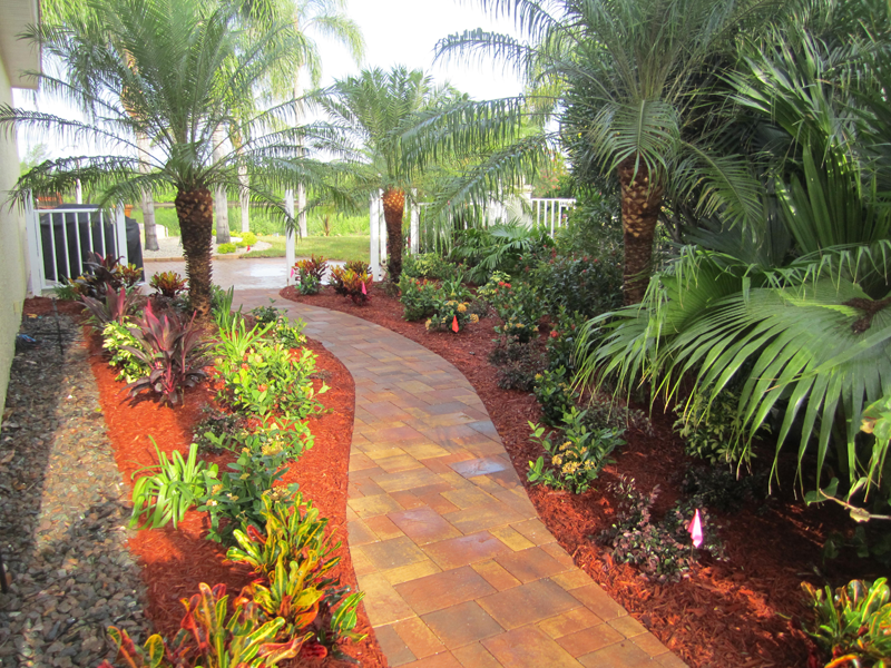 Eden Nursery | Clearwater, FL | Landscaping stone Walkway, Palm Trees, Plants