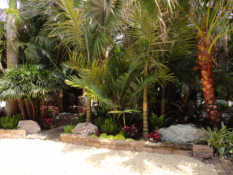 Eden Nursery | Clearwater, FL | Landscaping with Palm Trees, Rocks, Flowers
