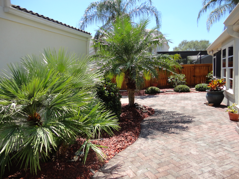 Eden Nursery | Clearwater, FL | Landscaping with Palm Trees, Plants, Bushes, Brick Walkway