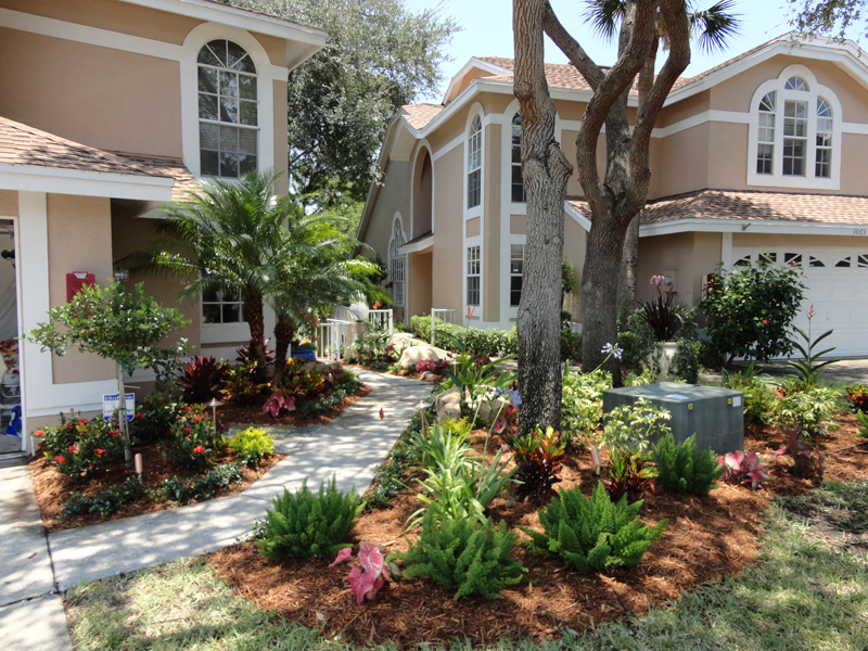 Eden Nursery | Clearwater, FL | Landscaping with Plants, Palm Trees, Trees, Flowers