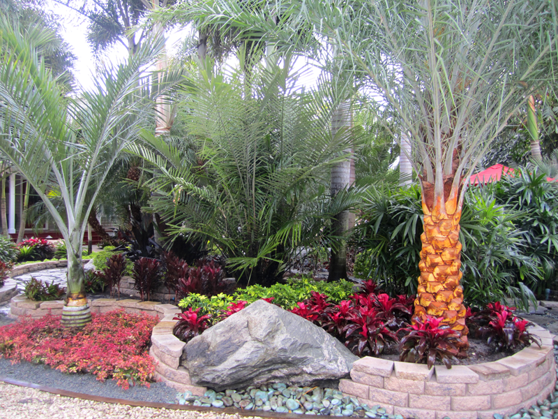 Eden Nursery | Clearwater, FL | Landscaping with Palm Trees, cement Retention, Rip-Rap Wall, Rocks, Flowers, Plants