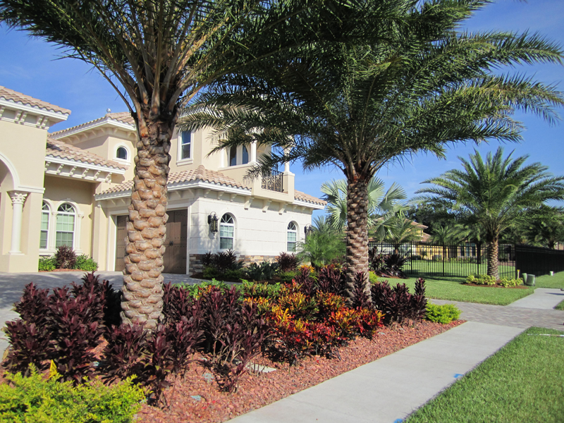 Eden Nursery | Clearwater, FL | Landscaping Palm Trees, Plants, Flowers