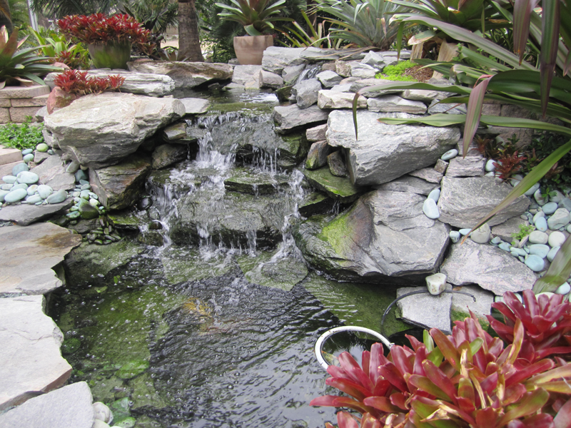 Eden Nursery | Clearwater, FL | Outside Waterfall Feature
