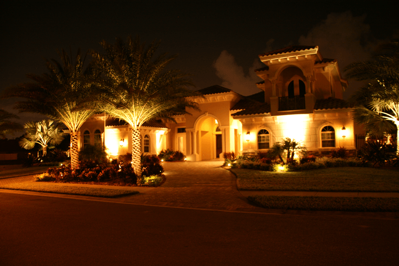 Eden Nursery | Clearwater, FL | Landscaping LED lighting and Palm Trees, Plants