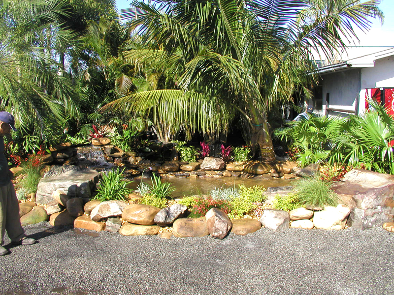Eden Nursery | Clearwater, FL | Outside Landscaping Water Feature | Pond