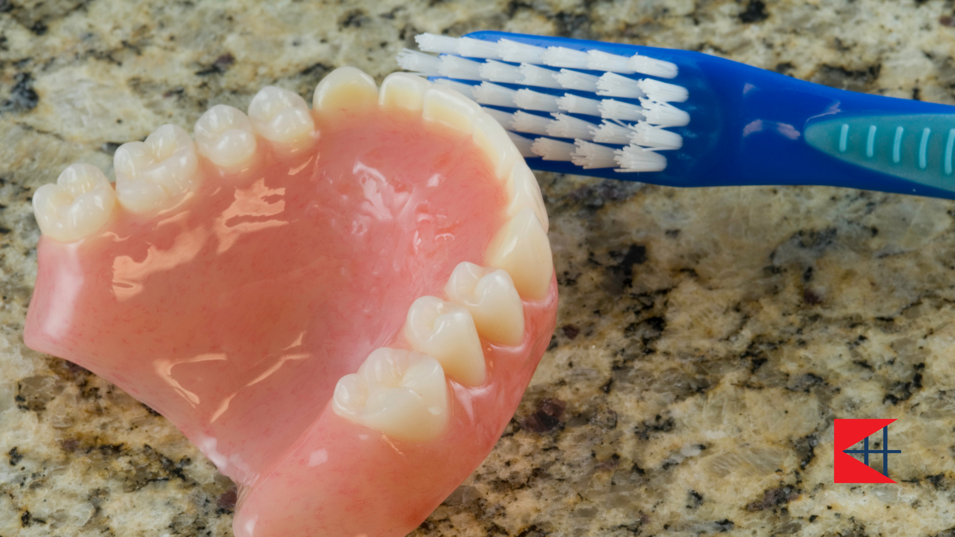 A denture is being cleaned with a blue toothbrush.