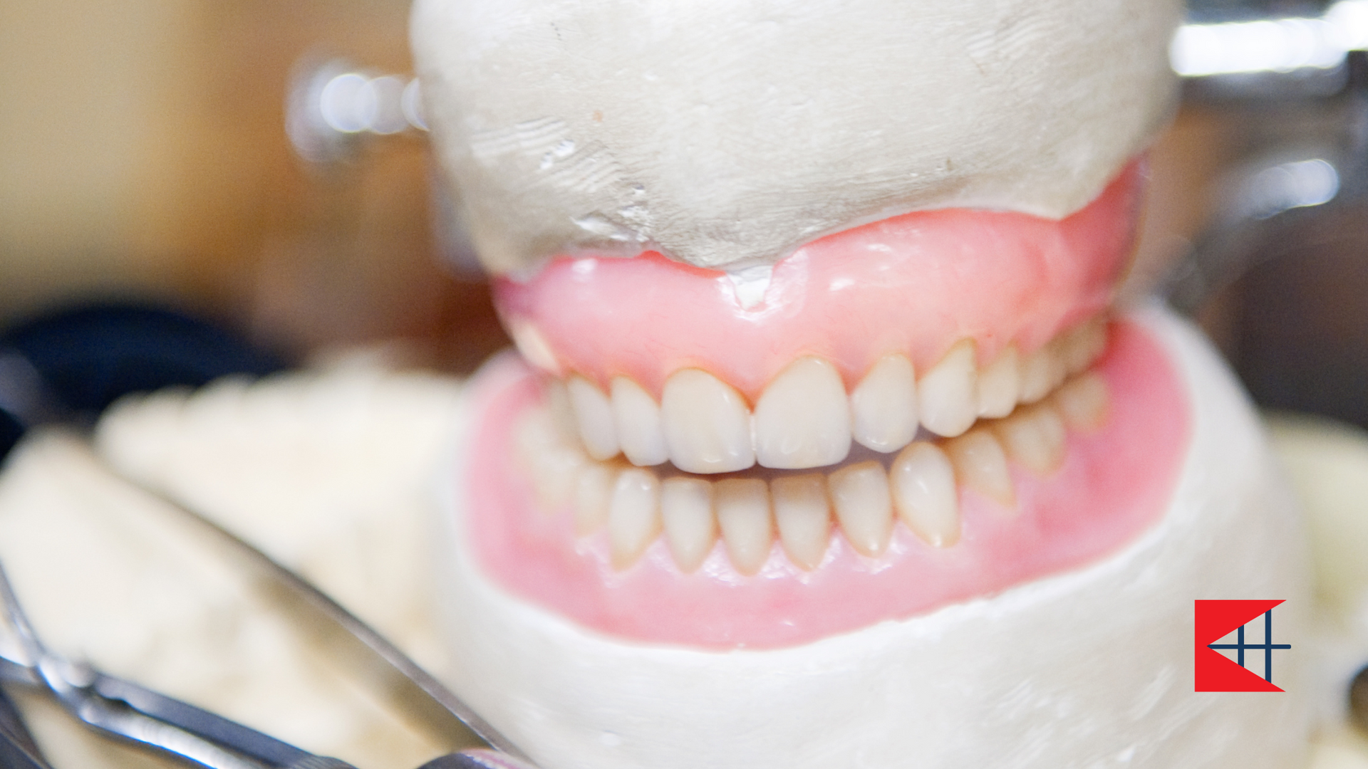 A close up of a model of a person 's teeth on a table.