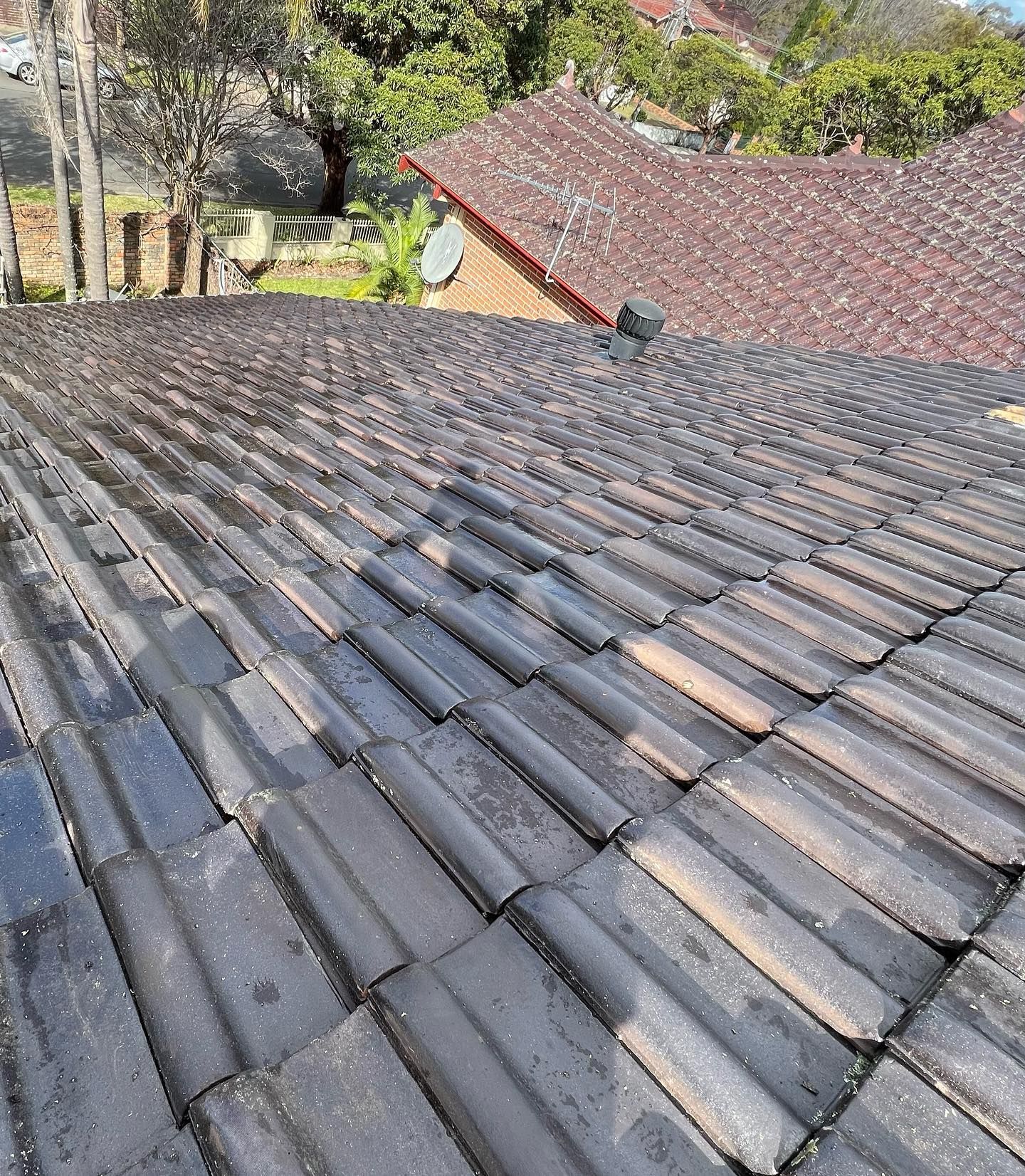 Dark-colored, weathered tile roof with visible moss and debris. In a residential setting, with a second roof and trees in background.