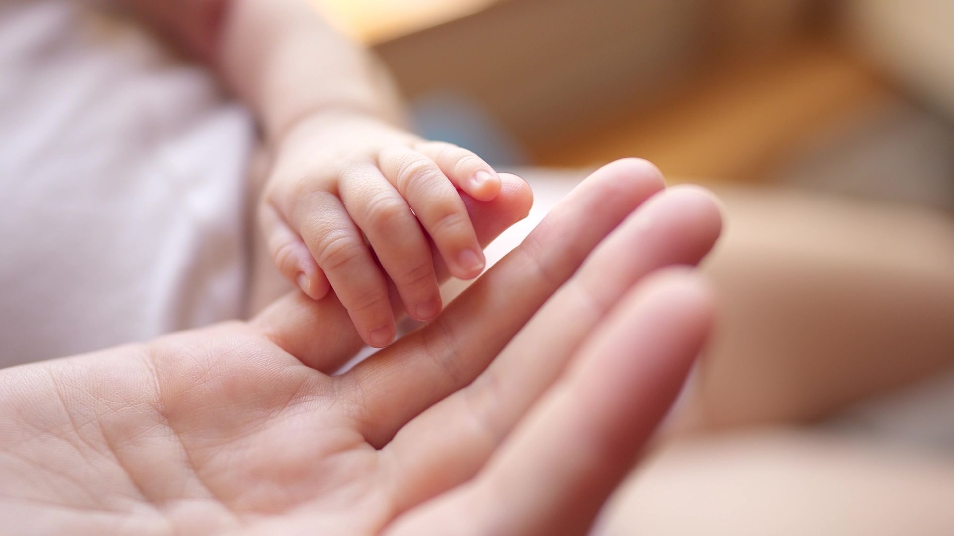 A close up of a person holding a baby 's hand.