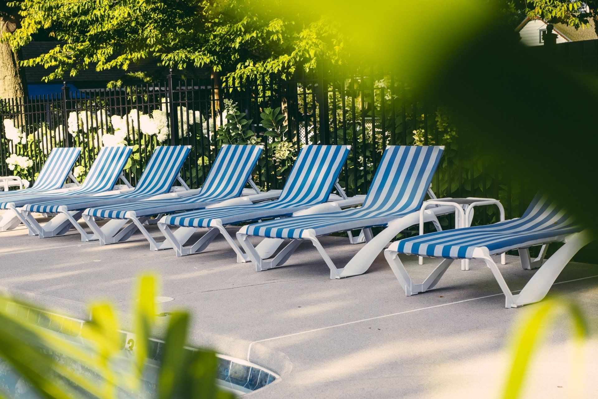 Blue and white striped pool furniture with plants and fence