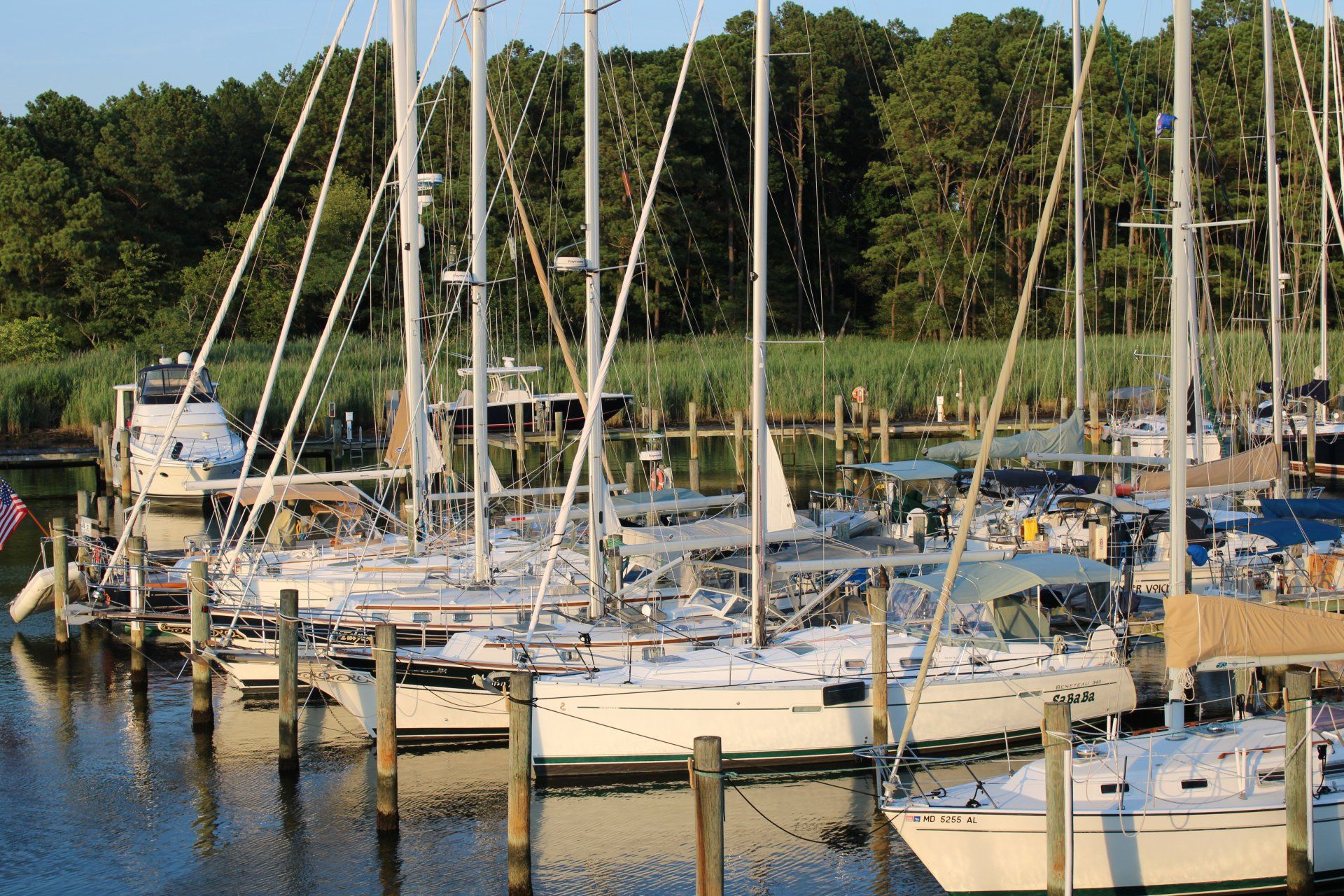Sailboats and a dock with green trees in background