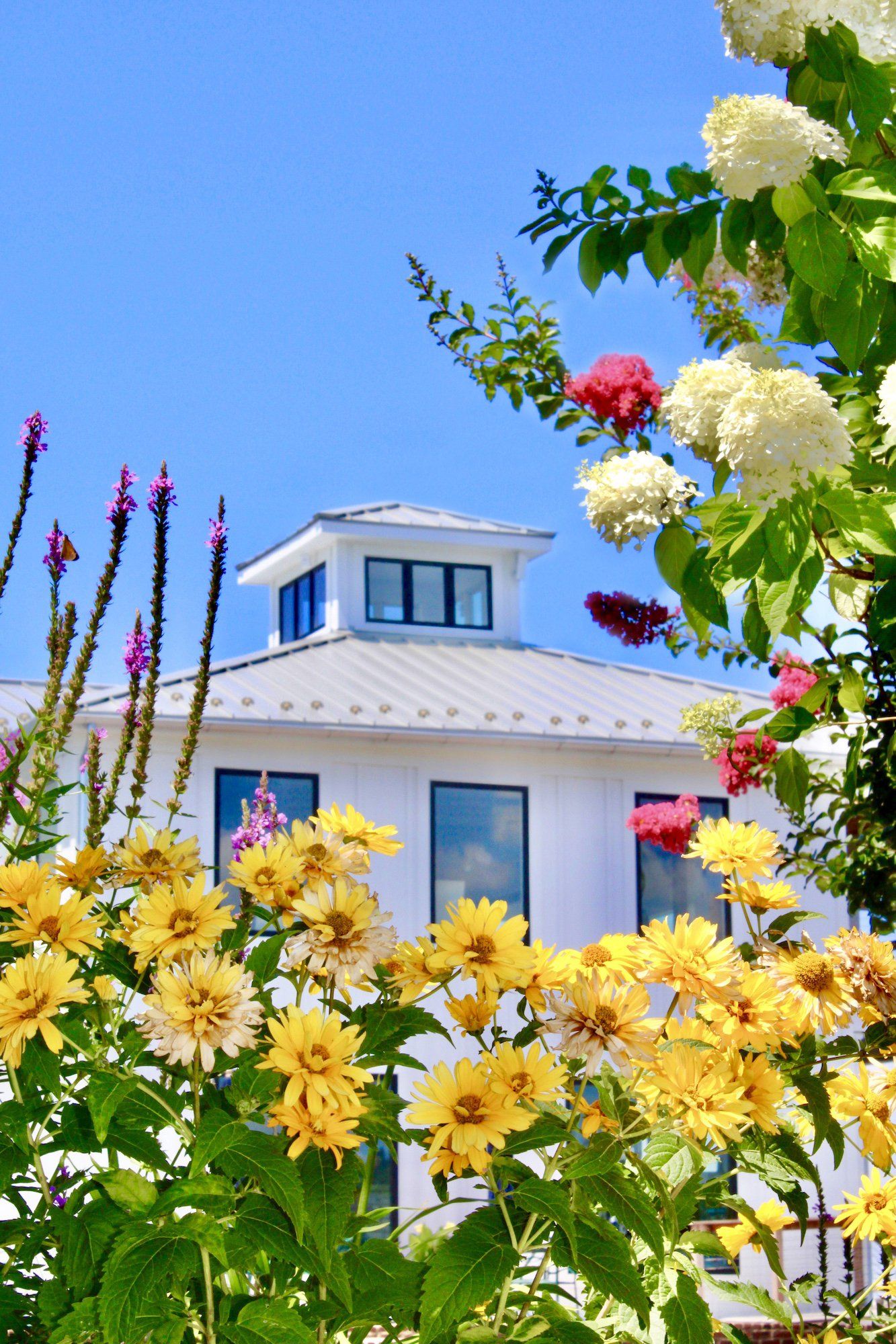 Modern white building surrounded by yellow and pink flowers