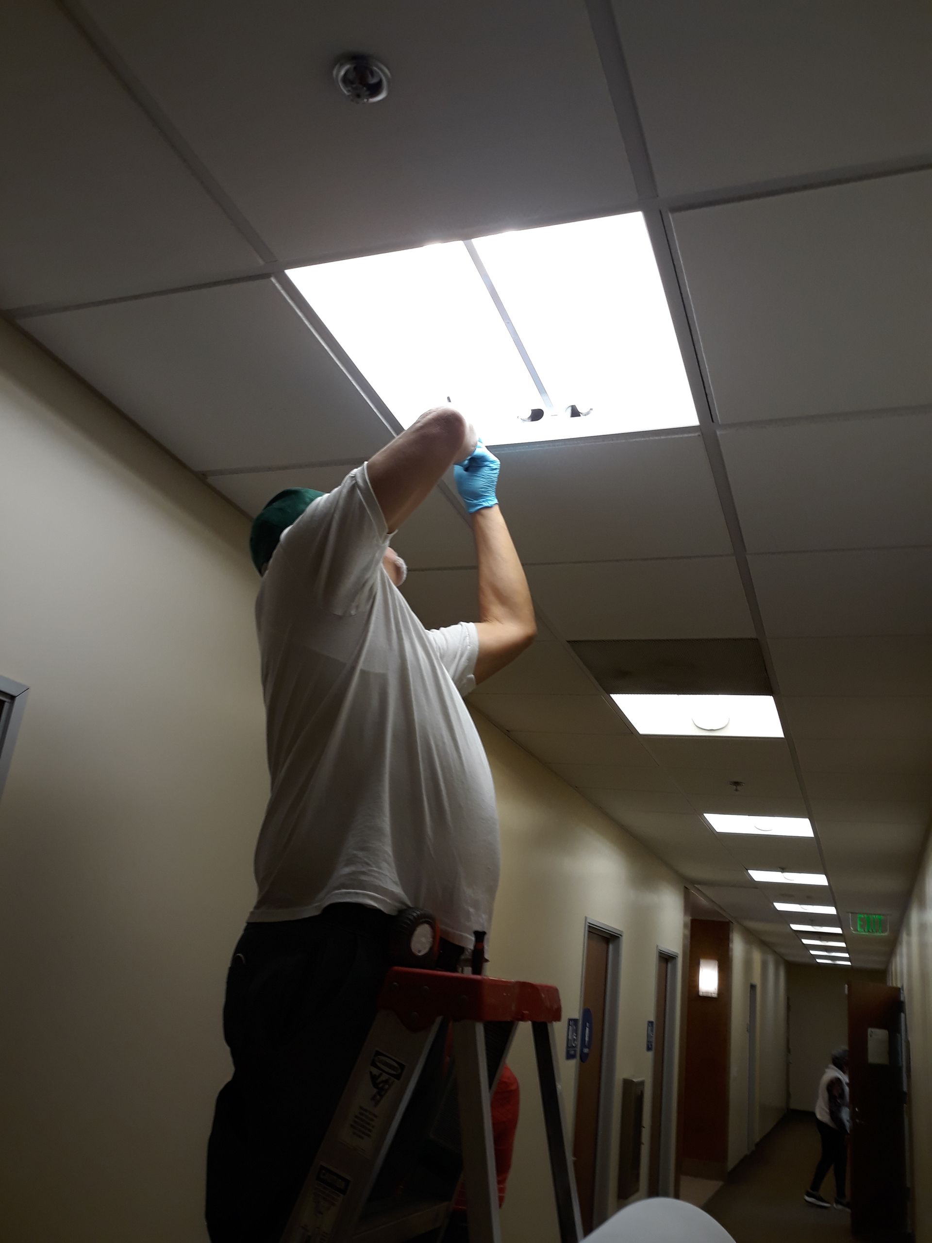 Person on a ladder changing a fluorescent light in a well-lit office hallway.