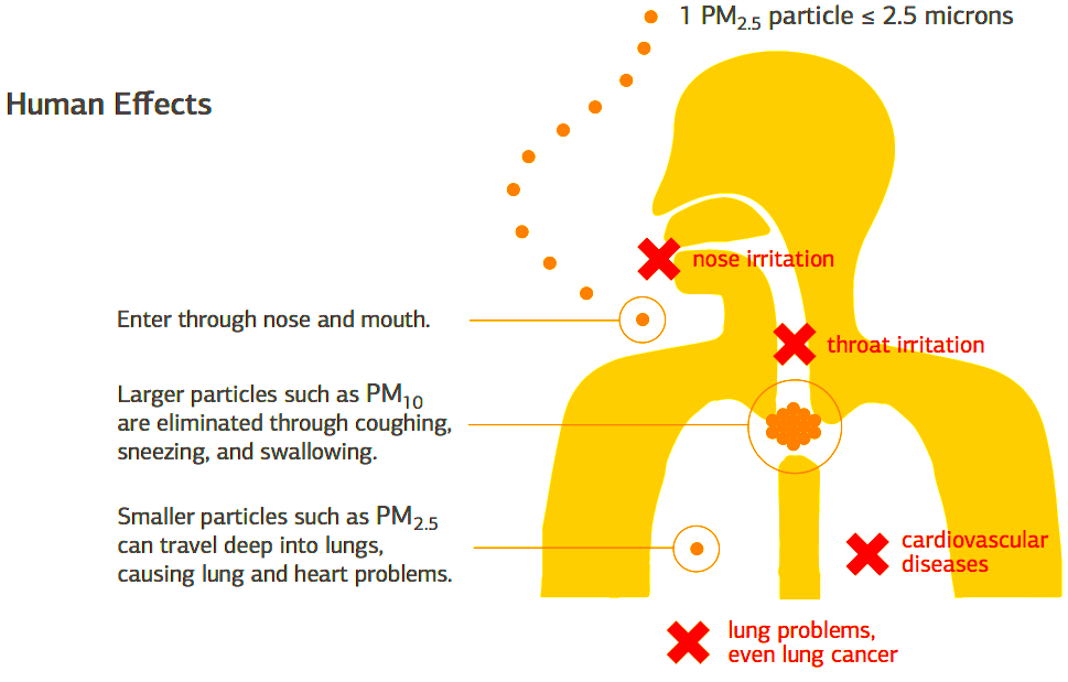 How inhaling respirable particles is a risk to health