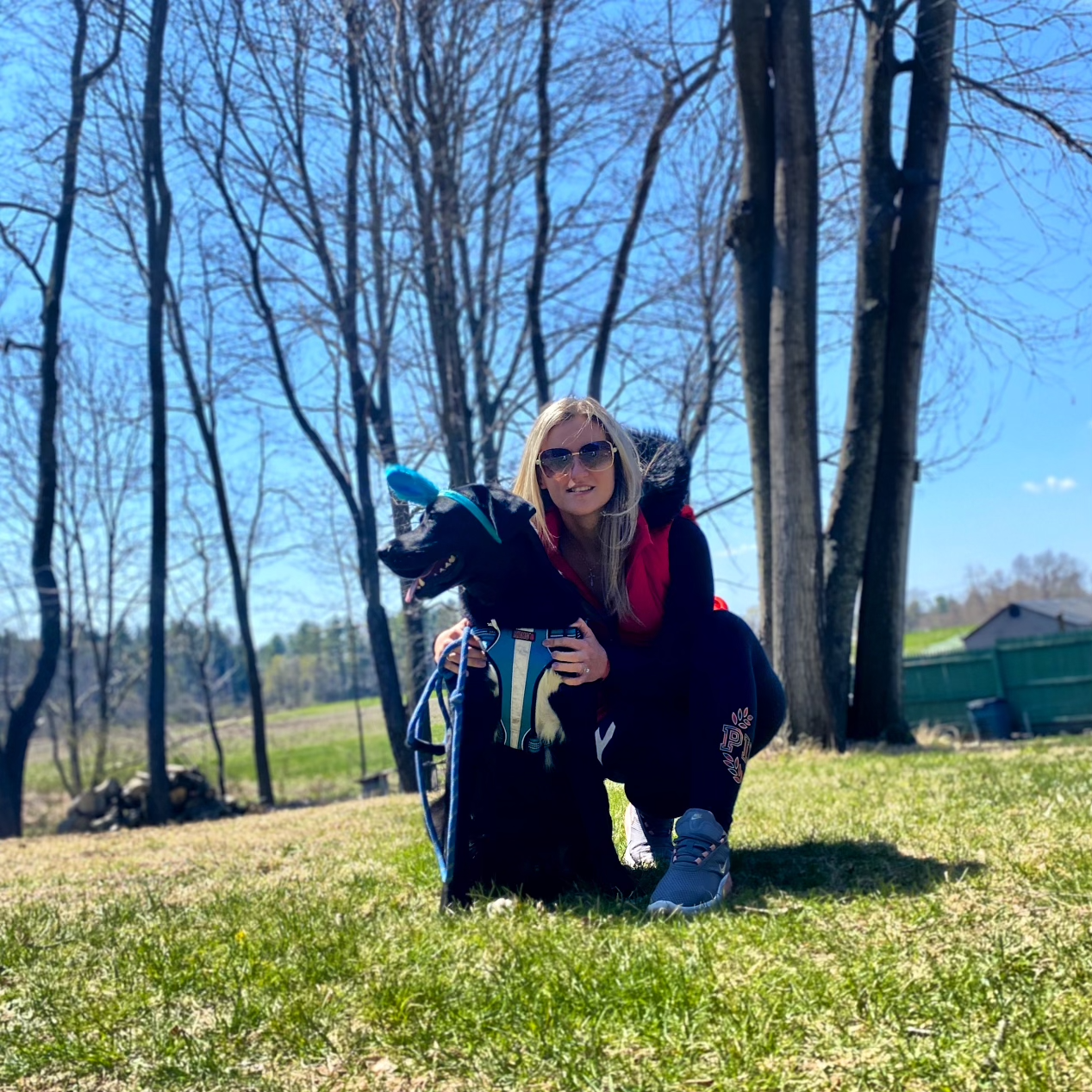 Accounting tax professional Sasha Papova