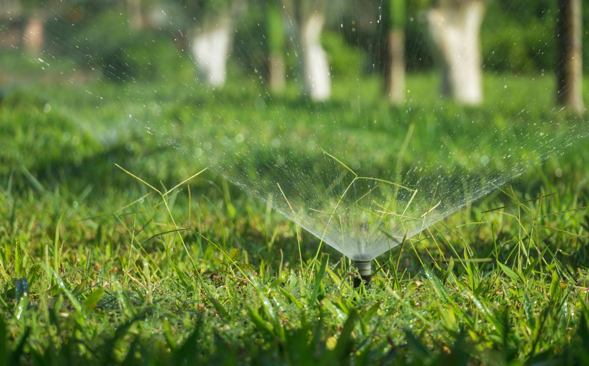 A lawn sprinkler spraying a fine mist of water over lush green grass in a park.