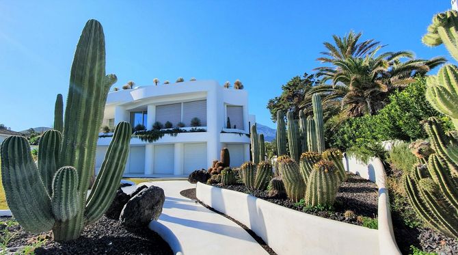 A modern white house set in a sunny garden with various tall cacti, volcanic rock accents, and a curved paved path.