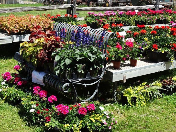 Garden Centre Dutch Mill Country Market Burlington & Hamilton