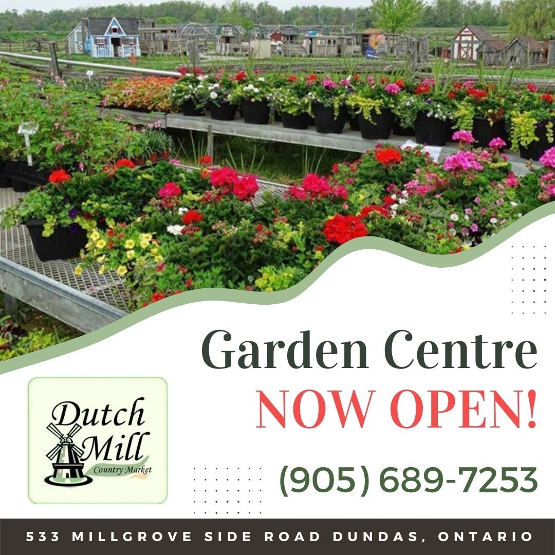 The Dutch Mill Country Market | News | Dundas News