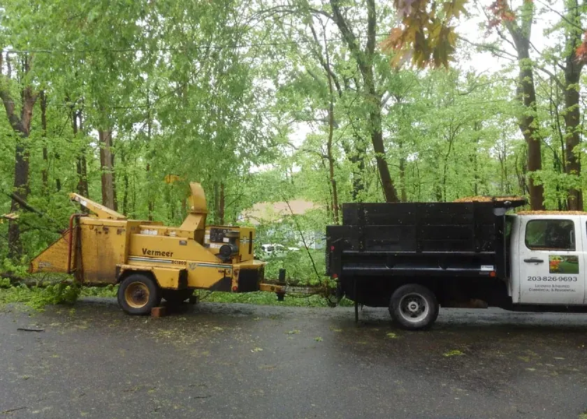 A truck is parked next to a tree chipper on a trailer.