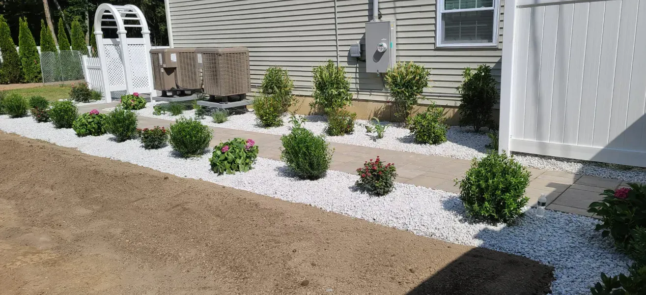 A row of bushes and rocks in front of a house.
