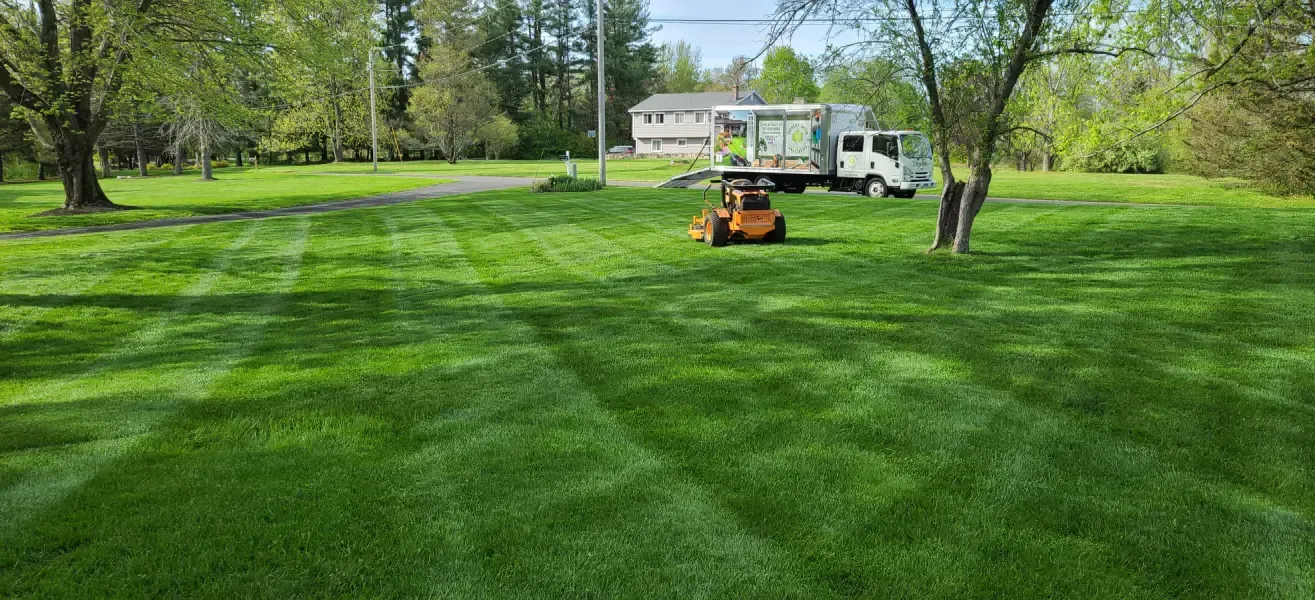 A lawn mower is cutting a lush green lawn.