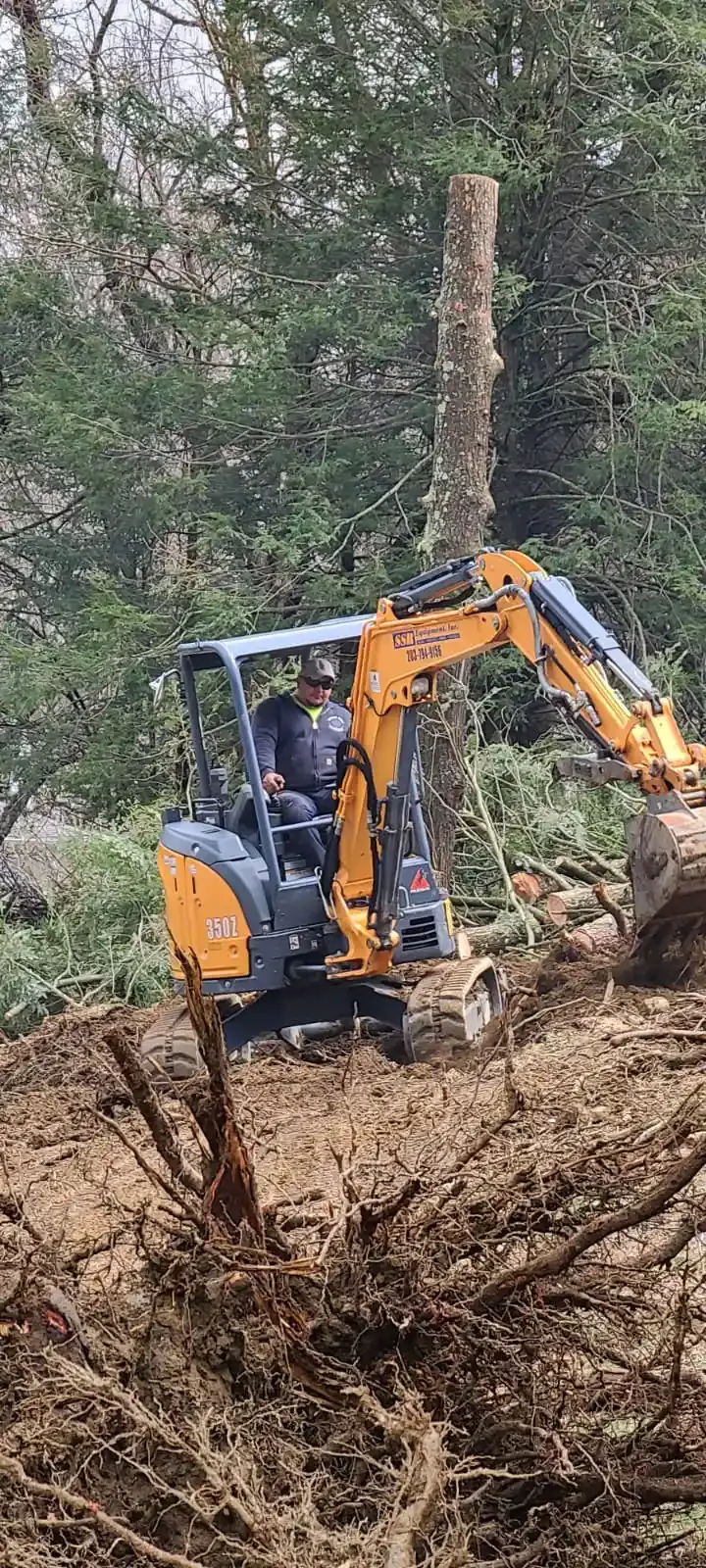 A man is driving a small excavator through a forest.